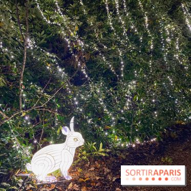 Thoiry Lumières Sauvages 2023 - 2024 - IMG 6312