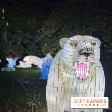 Thoiry Lumières Sauvages 2023 - 2024 - IMG 6313