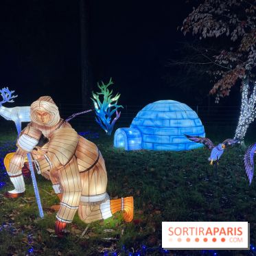 Thoiry Lumières Sauvages 2023 - 2024 - IMG 6315