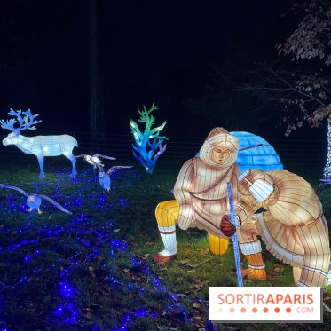 Thoiry Lumières Sauvages 2023 - 2024 - IMG 6316