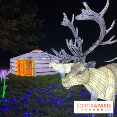 Thoiry Lumières Sauvages 2023 - 2024 - IMG 6325