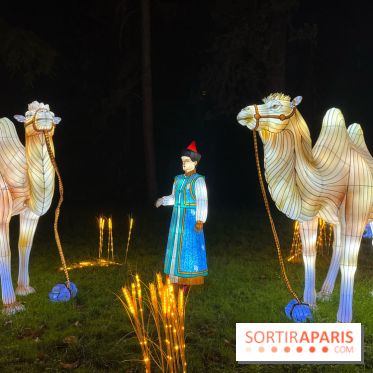 Thoiry Lumières Sauvages 2023 - 2024 - IMG 6330