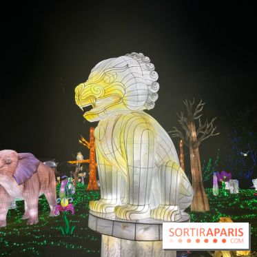 Thoiry Lumières Sauvages 2023 - 2024 - IMG 6342