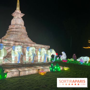 Thoiry Lumières Sauvages 2023 - 2024 - IMG 6347