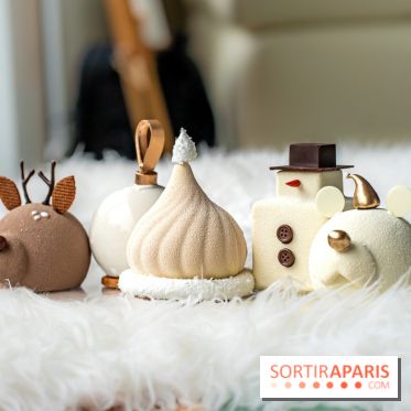 Bûche de Noël de Candy Paradis 2023 -  A7C5073