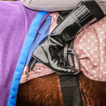 Dimanche plaisirs : rendez-vous à l'Hippodrome Paris-Vincennes  - QualifCornulier 20221218133146BV2 4494