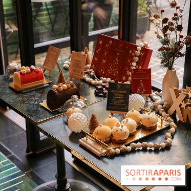 Les Bûches de Noël IG Bas des Belles Envies 2023 - IMG 2774