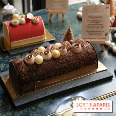 Les Bûches de Noël IG Bas des Belles Envies 2023 - IMG 2775