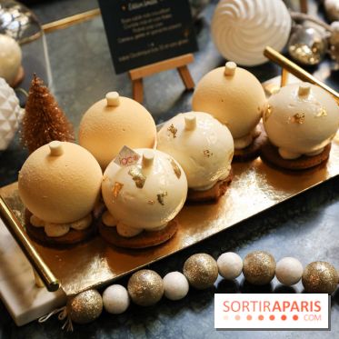 Les Bûches de Noël IG Bas des Belles Envies 2023 - IMG 2780