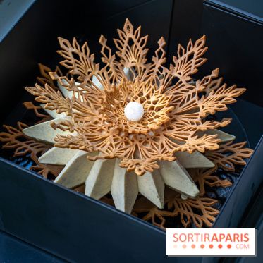 La Bûche de Noël de Nina Métayer 2023