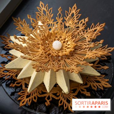 La Bûche de Noël de Nina Métayer 2023