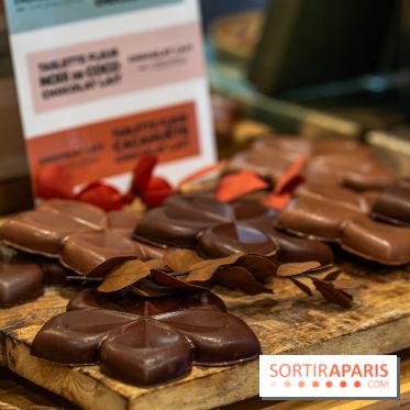 Les Bûches de Noël 2023, calendrier de l'Avent et galette des rois 2024 de Jardin Sucré -  A7C4377