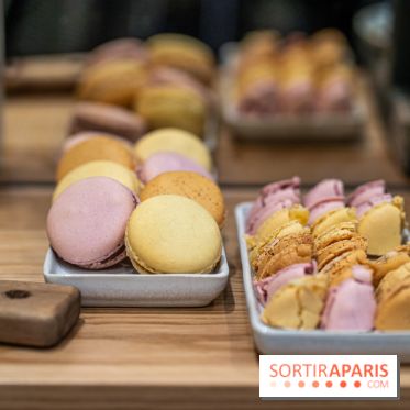 Les Bûches de Noël 2023, calendrier de l'Avent et galette des rois 2024 de Jardin Sucré -  A7C4381