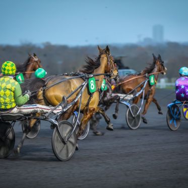 Les dimaches plaisir à Paris-Vincennes : les sorties gratuites pendant l'hiver - BVDV 20231210173018 5051
