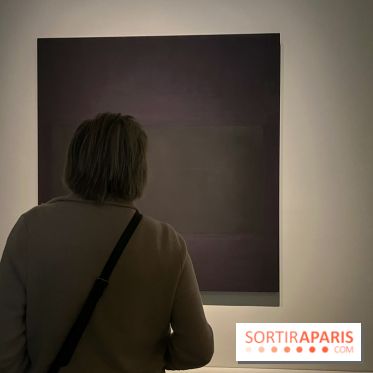 Rothko à la Fondation Louis Vuitton - nos photos  - image00028