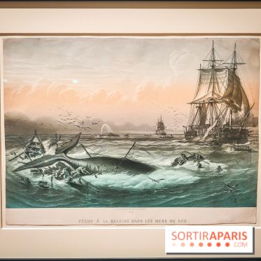 Le Musée de la Marine à Paris et ses collections permanentes