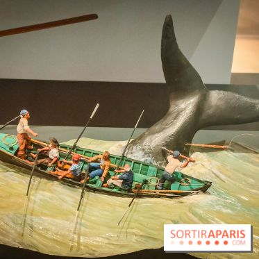 Le Musée de la Marine à Paris et ses collections permanentes