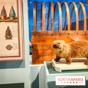 Le Musée de la Marine à Paris et ses collections permanentes