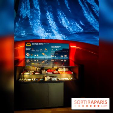 Le Musée de la Marine à Paris et ses collections permanentes
