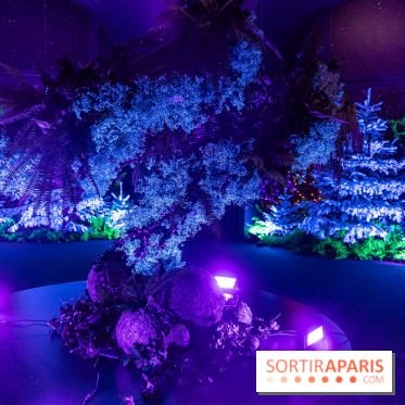 Inauguration des vitrines et décorations de Noël du BHV Marais à Paris 2023