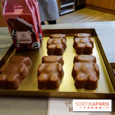 Bûches de Noël 2023 de l'Eclair de Génie