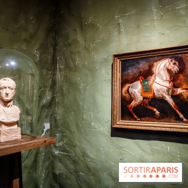 Exposition Horace Vernet : le peintre de l'Empire mis à l'honneur au château de Versailles - IMG20231110105321