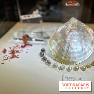 Secrets de Bijoux