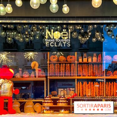 Les vitrines et décors de Noël 2023 du Bon Marché Rive Gauche