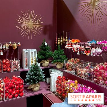 Les vitrines et décors de Noël 2023 du Bon Marché Rive Gauche