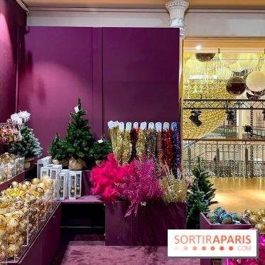 Les vitrines et décors de Noël 2023 du Bon Marché Rive Gauche - image00023