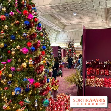 Les vitrines et décors de Noël 2023 du Bon Marché Rive Gauche - image00030
