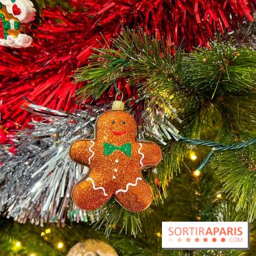 Les vitrines et décors de Noël 2023 du Bon Marché Rive Gauche - image00052