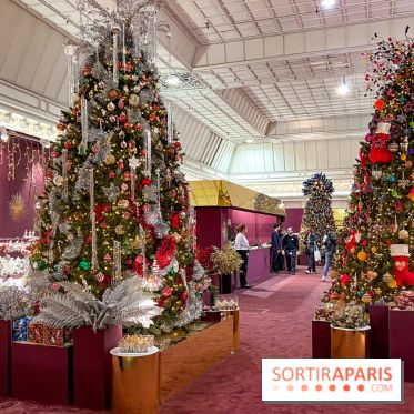 Les vitrines et décors de Noël 2023 du Bon Marché Rive Gauche