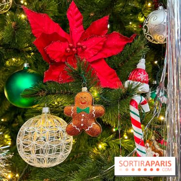 Les vitrines et décors de Noël 2023 du Bon Marché Rive Gauche