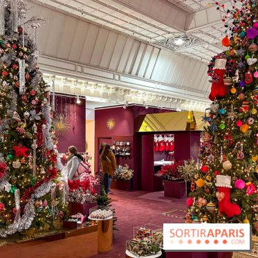 Les vitrines et décors de Noël 2023 du Bon Marché Rive Gauche - image00097