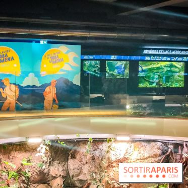 Enquête à Madagascar : nos photos de l'exposition immersive ultra ludique de l'Aquarium tropical