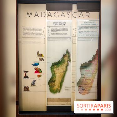 Enquête à Madagascar : nos photos de l'exposition immersive ultra ludique de l'Aquarium tropical