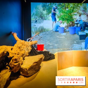 Enquête à Madagascar : nos photos de l'exposition immersive ultra ludique de l'Aquarium tropical