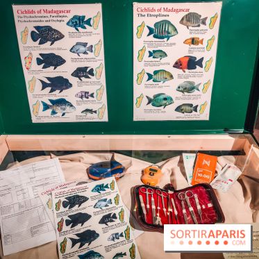 Enquête à Madagascar : nos photos de l'exposition immersive ultra ludique de l'Aquarium tropical - IMG20231113102709