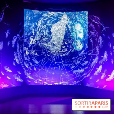 Enquête à Madagascar : nos photos de l'exposition immersive ultra ludique de l'Aquarium tropical - IMG20231113103630