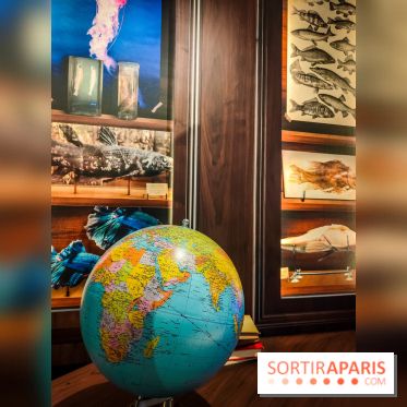 Enquête à Madagascar : nos photos de l'exposition immersive ultra ludique de l'Aquarium tropical - IMG20231113103655