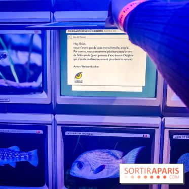 Enquête à Madagascar : nos photos de l'exposition immersive ultra ludique de l'Aquarium tropical - IMG20231113102407