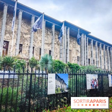 Enquête à Madagascar : nos photos de l'exposition immersive ultra ludique de l'Aquarium tropical - IMG20231113094710