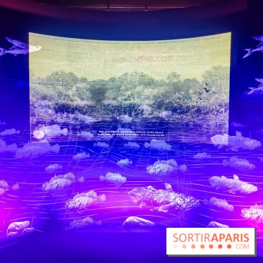 Enquête à Madagascar : nos photos de l'exposition immersive ultra ludique de l'Aquarium tropical