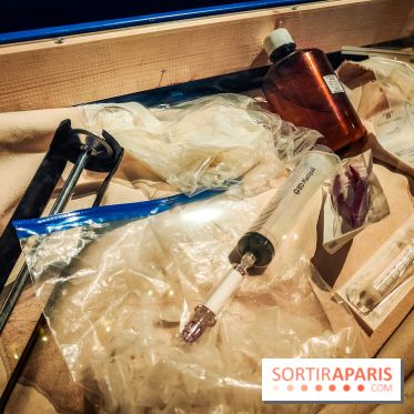 Enquête à Madagascar : nos photos de l'exposition immersive ultra ludique de l'Aquarium tropical - IMG20231113104622