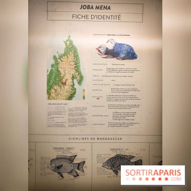 Enquête à Madagascar : nos photos de l'exposition immersive ultra ludique de l'Aquarium tropical - IMG20231113103823