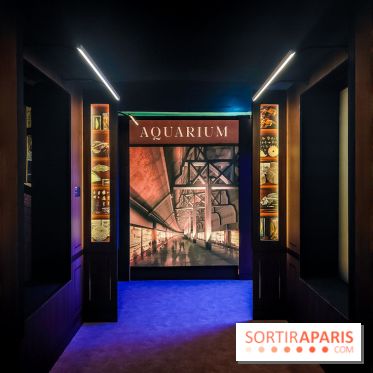 Enquête à Madagascar : nos photos de l'exposition immersive ultra ludique de l'Aquarium tropical