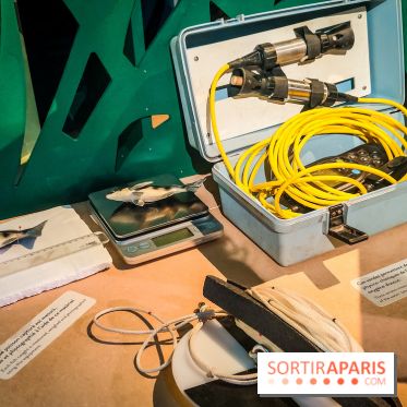 Enquête à Madagascar : nos photos de l'exposition immersive ultra ludique de l'Aquarium tropical - IMG20231113104945