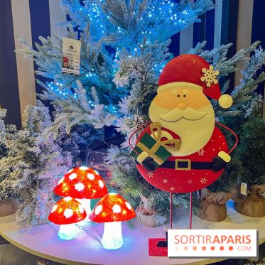 Un Noël Magique à So Ouest - IMG 8355