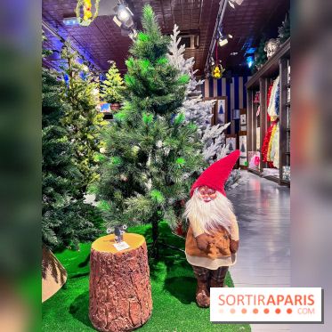 Un Noël Magique à So Ouest